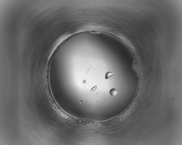 X0000078840912200611131145