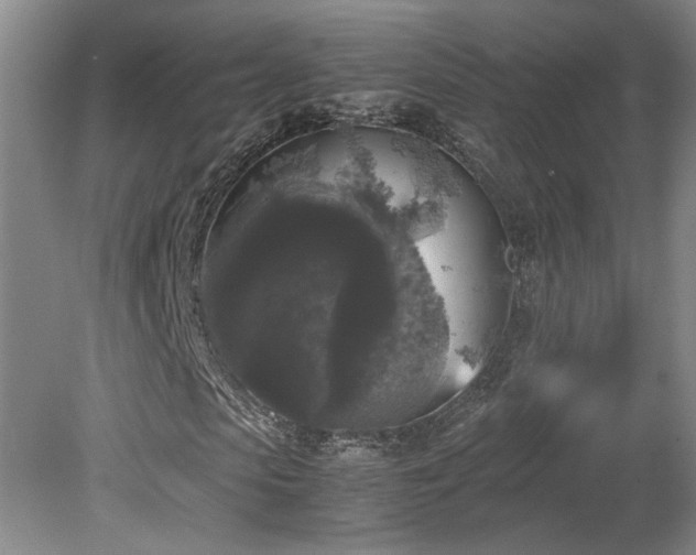 X0000078840913200611131144