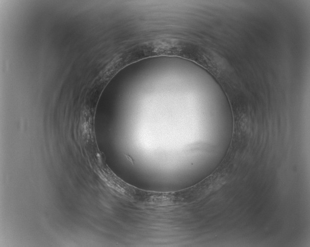 X0000078840914200611131145