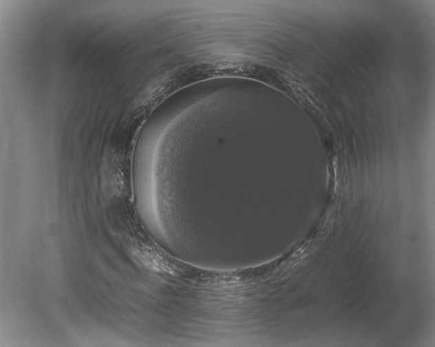 X0000078840916200611131145