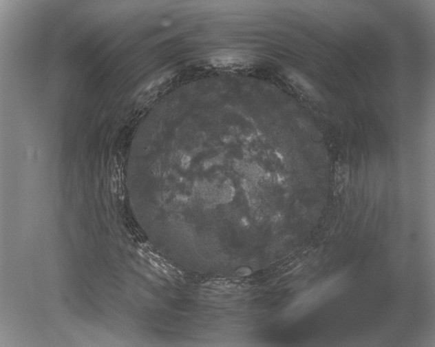 X0000078840917200611131145