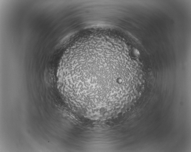 X0000078840918200611131145