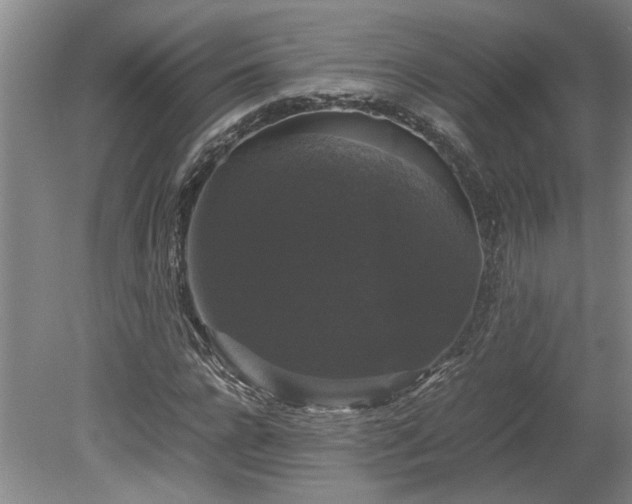 X0000078840920200611131145