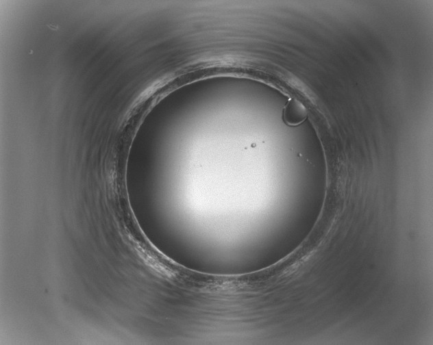 X0000078840922200611131145