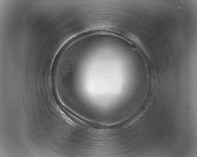 X0000078840924200611131145