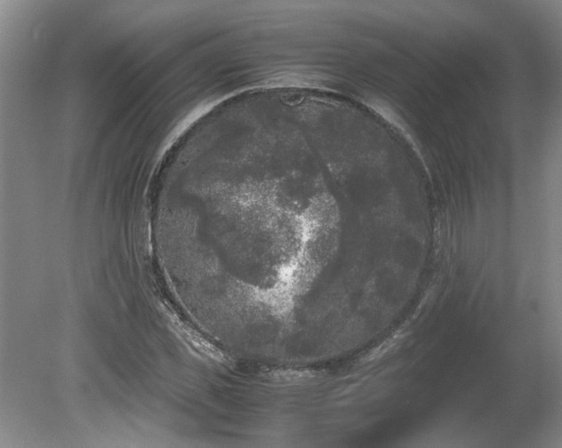 X0000078840925200611131145