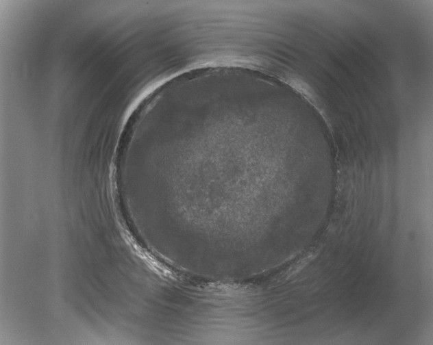 X0000078840928200611131145