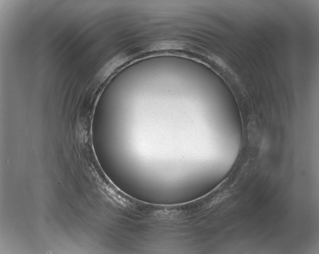 X0000078840929200611131145