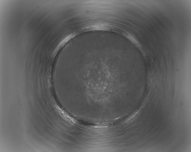 X0000078840930200611131145