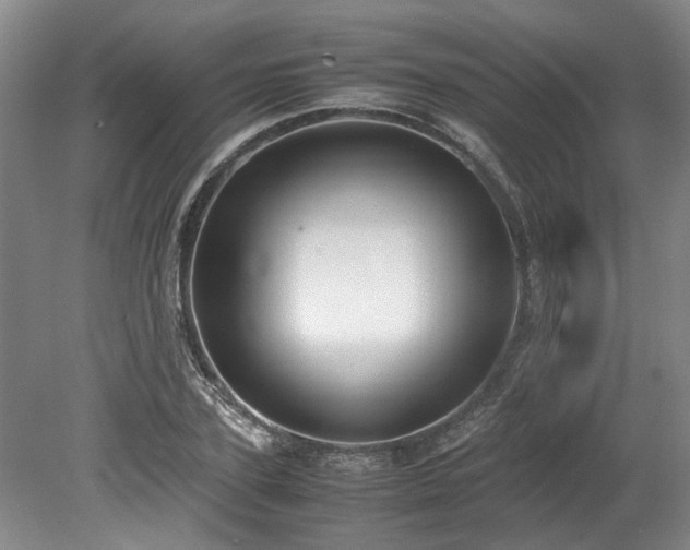 X0000078840931200611131145