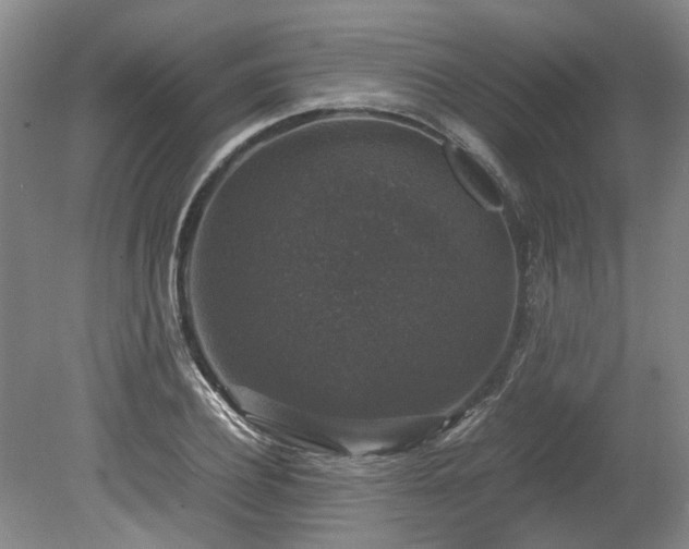 X0000078840932200611131145