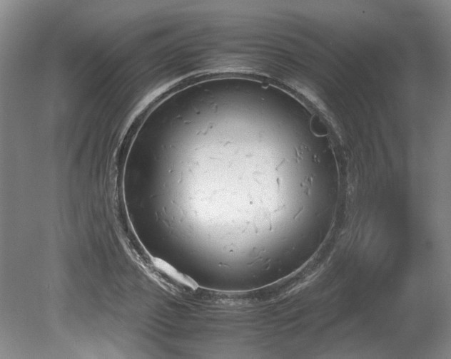 X0000078840933200611131145