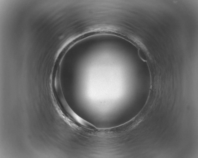 X0000078840936200611131145