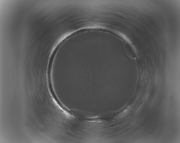 X0000078840943200611131145