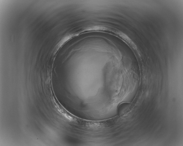 X0000078840945200611131145