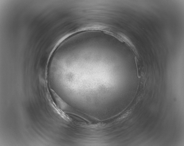 X0000078840948200611131145