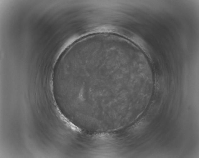 X0000078840950200611131145