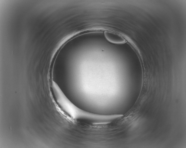 X0000078840951200611131145