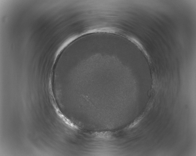 X0000078840952200611131145