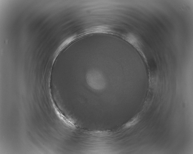 X0000078840954200611131145