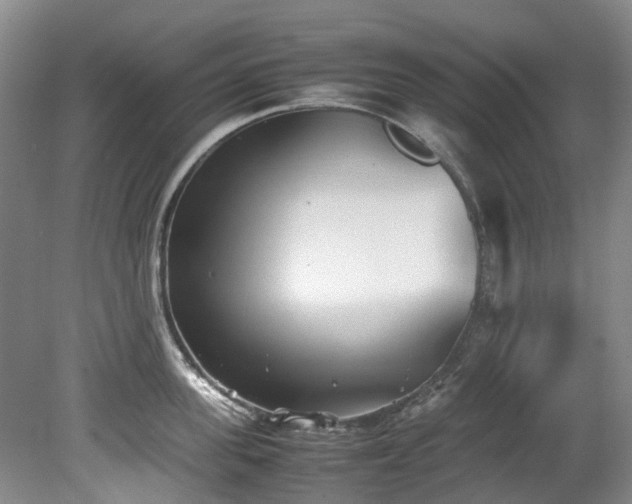 X0000078840955200611131145