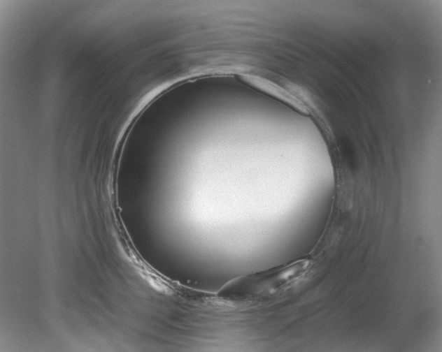 X0000078840956200611131145