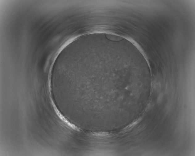 X0000078840957200611131145