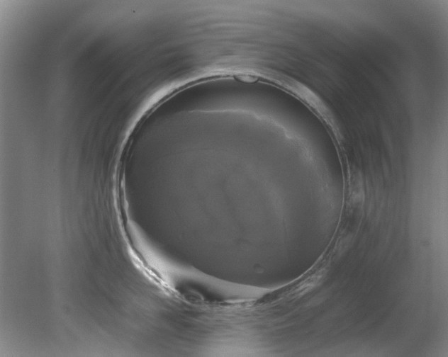 X0000078840958200611131145