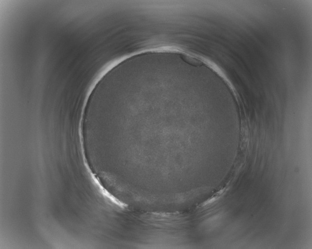 X0000078840959200611131145