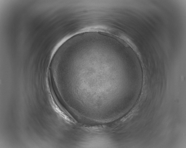 X0000078840960200611131145