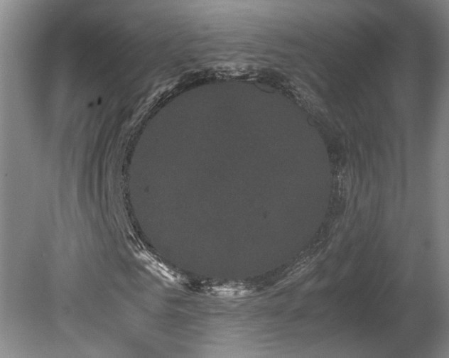 X0000078840961200611131144