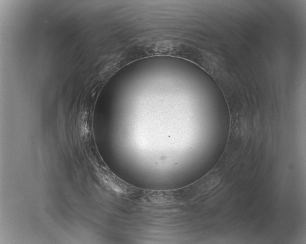 X0000078840962200611131144