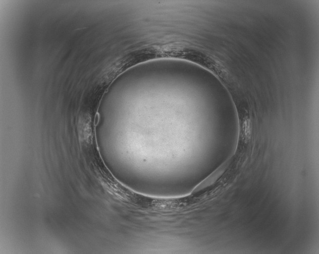 X0000078840963200611131144