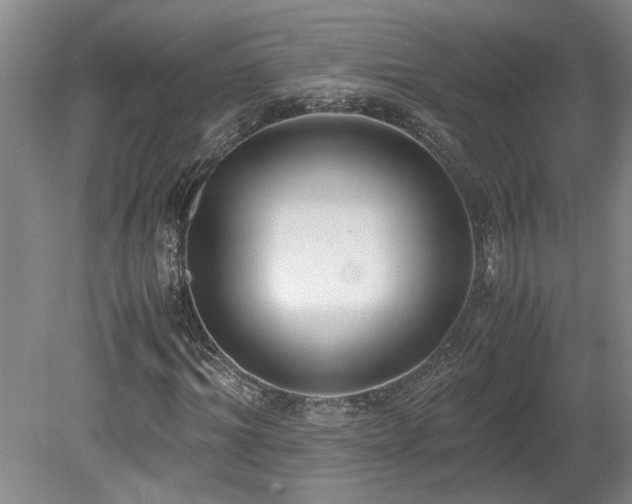 X0000078840964200611131144