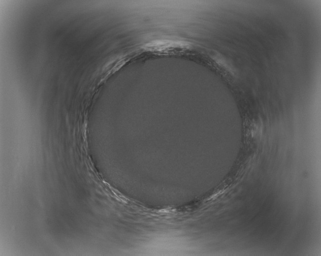 X0000078840965200611131144