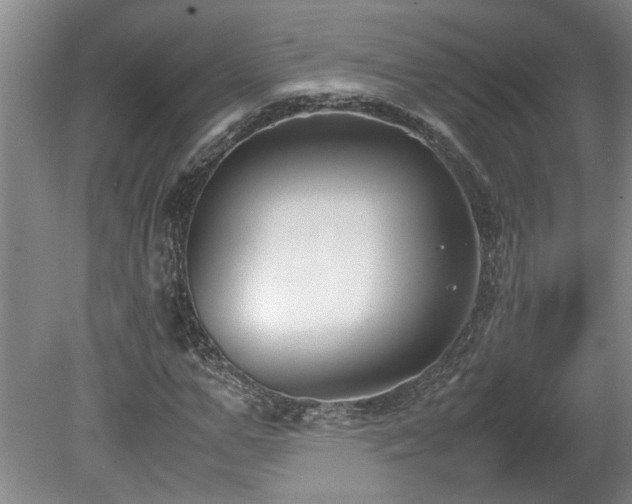 X0000078840967200611131144