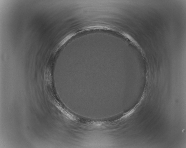 X0000078840969200611131144