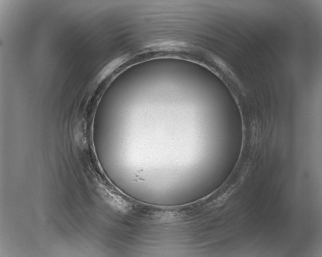 X0000078840970200611131144