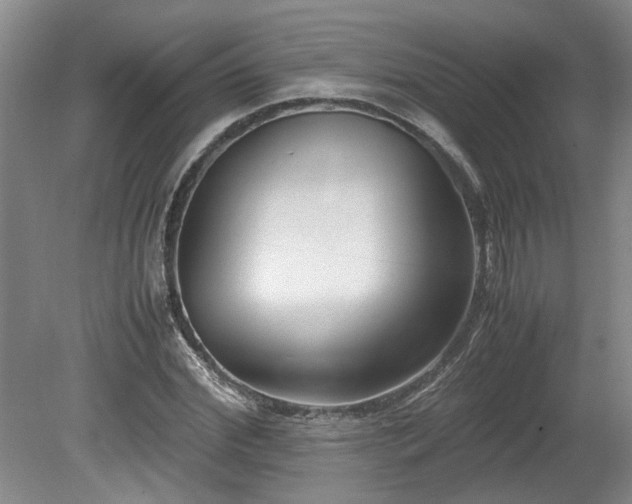 X0000078840972200611131144