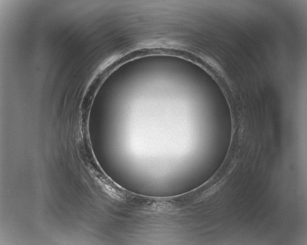 X0000078840974200611131144