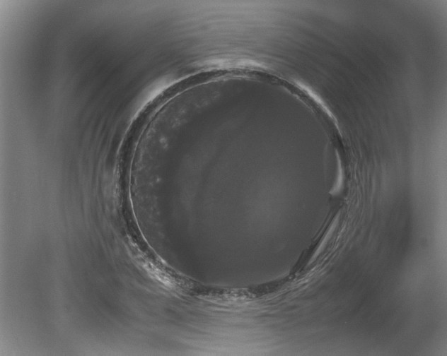 X0000078840975200611131144