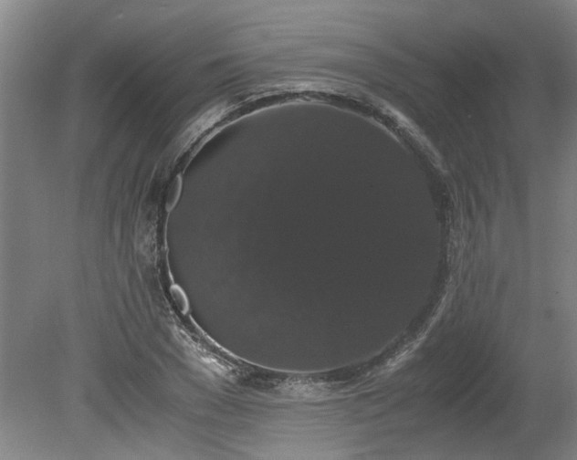 X0000078840977200611131144