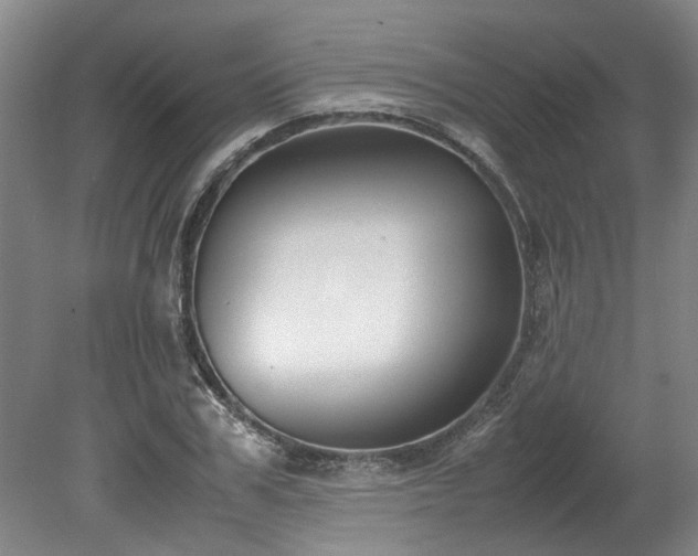 X0000078840979200611131144