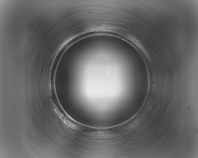 X0000078840980200611131144