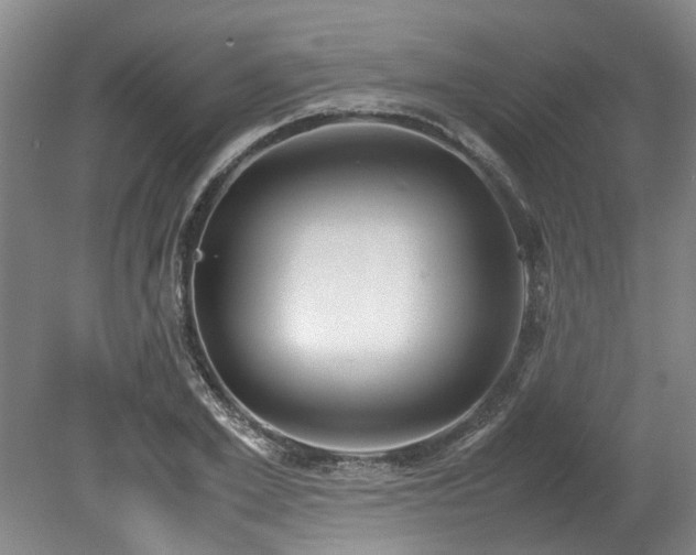 X0000078840981200611131144