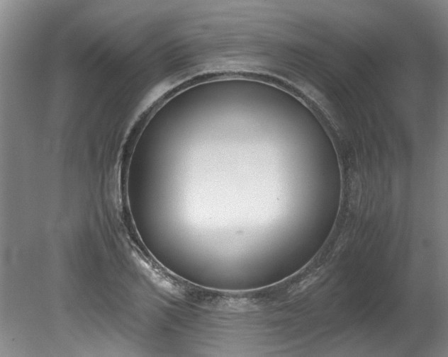 X0000078840982200611131144