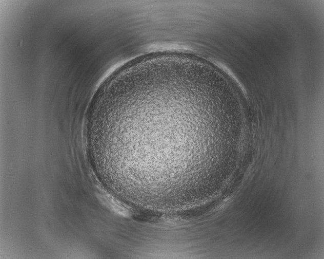 X0000078840983200611131144