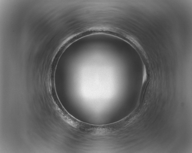 X0000078840984200611131144