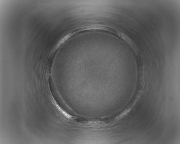 X0000078840985200611131144