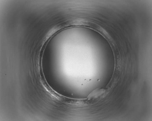 X0000078840986200611131144